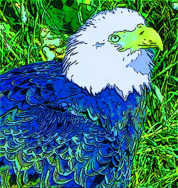 American Calvo Aquila Segno Illustrazione Pop Art Sfondo Icona Con — Foto Stock