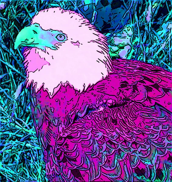 American Bald Eagle Sign Illustration Pop Art Background Icon Vivid — Foto Stock