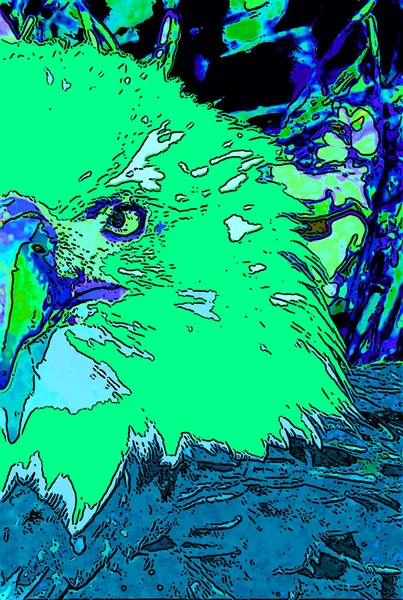 American Bald Eagle Sign Illustration Pop Art Background Icon Vivid — Stockfoto