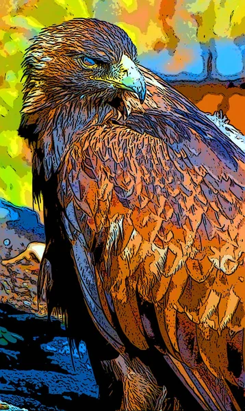 Eagle Illustration Pop Art Background — стоковое фото