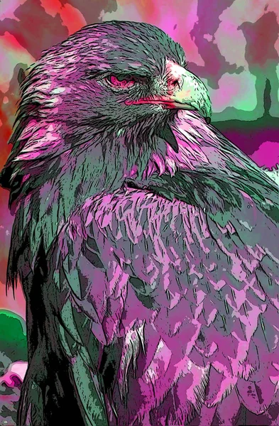 eagle illustration pop-art background