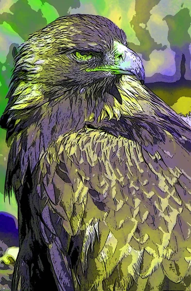 Eagle Illustration Pop Art Background — 스톡 사진