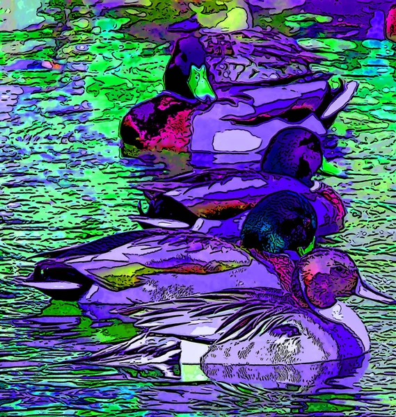 duck illustration pop-art background