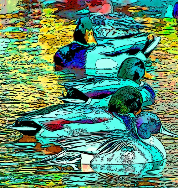 ducks illustration pop-art background