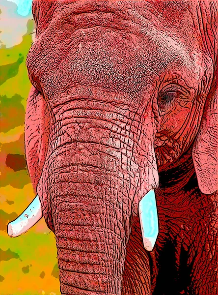 African Elephant Pop Art Background — Stock Fotó