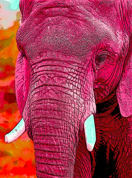 African Elephant Pop Art Background — Stock fotografie