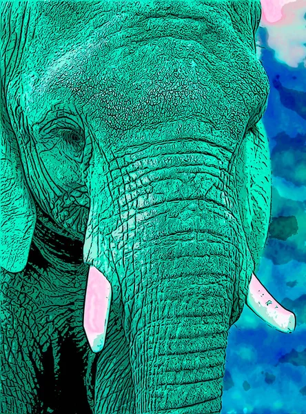 African Elephant Pop Art Background — Φωτογραφία Αρχείου
