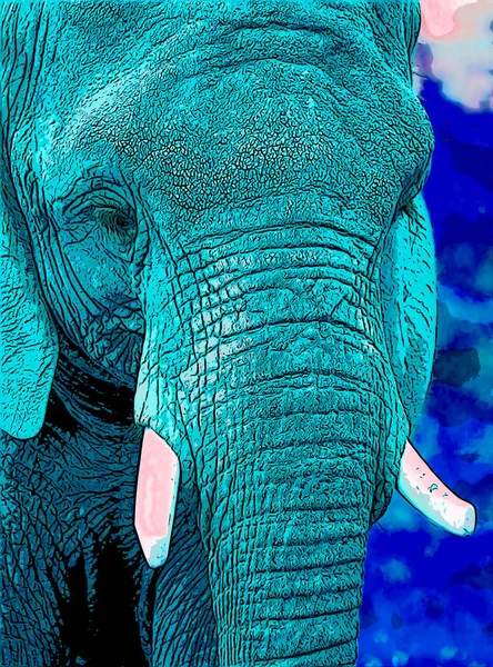 African Elephant Pop Art Background — Φωτογραφία Αρχείου