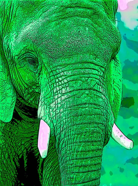 African Elephant Pop Art Background — Φωτογραφία Αρχείου