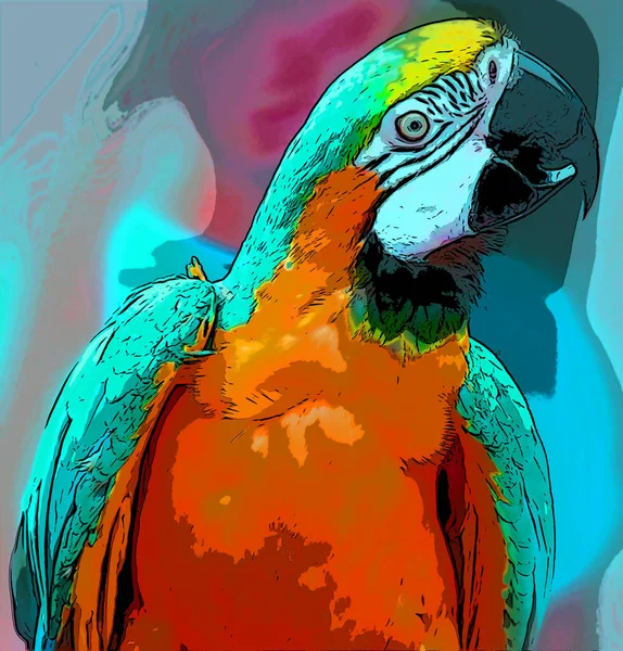Papoušek Ilustrace Pop Art Pozadí — Stock fotografie