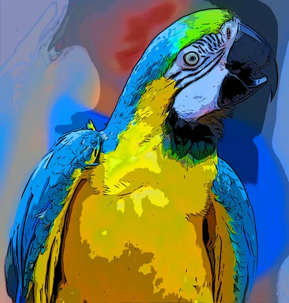 Parrot Illustration Pop Art Background — 图库照片