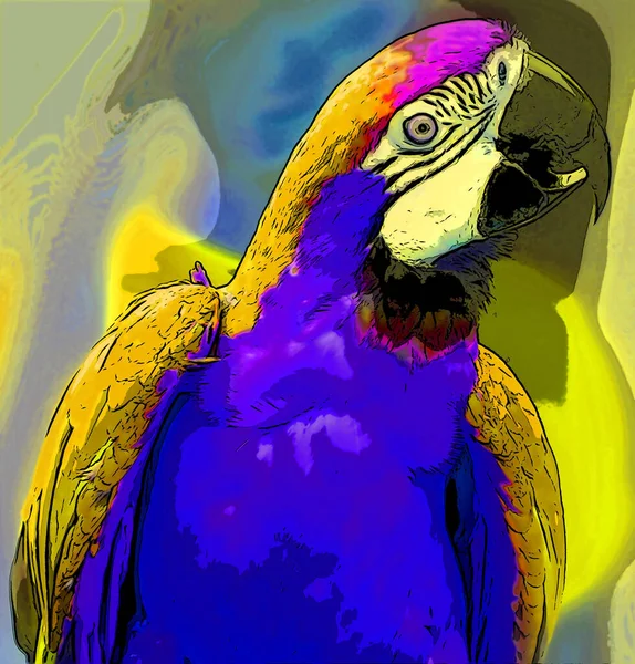 Parrot Illustration Pop Art Background — Stock Photo, Image