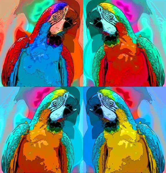 Papagáj Illusztráció Pop Art Háttér — Stock Fotó
