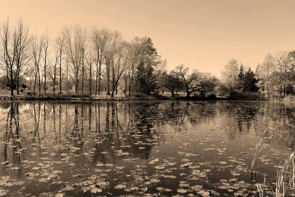 호수가 아름다운 — 스톡 사진