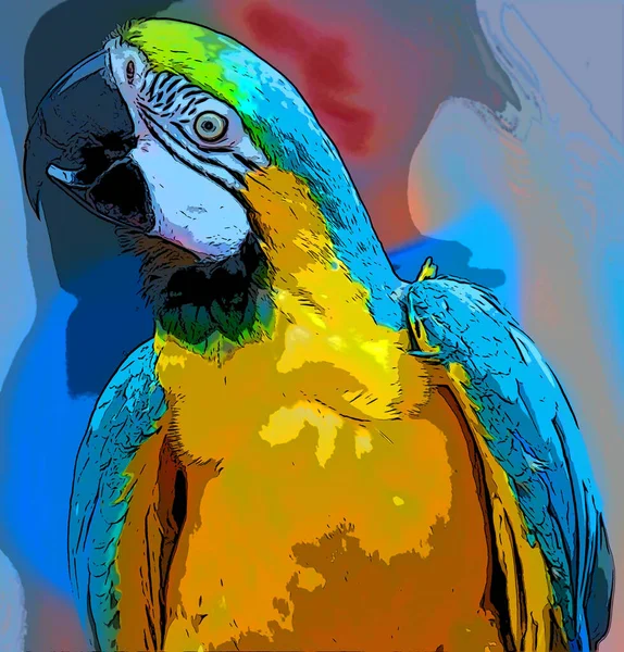 Scarlet Macaw Ara Macao Πινακίδα Εικονογράφηση Pop Art Φόντο Εικονίδιο — Φωτογραφία Αρχείου