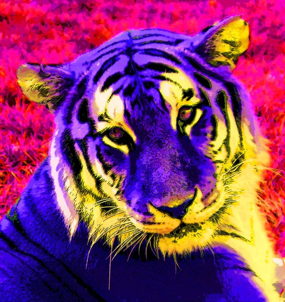 Animal Tiger Illustration Pop Art Background — Stok fotoğraf