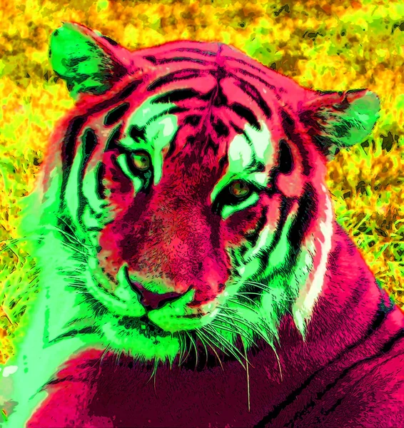 Zvířecí Tygr Ilustrace Pop Art Pozadí — Stock fotografie