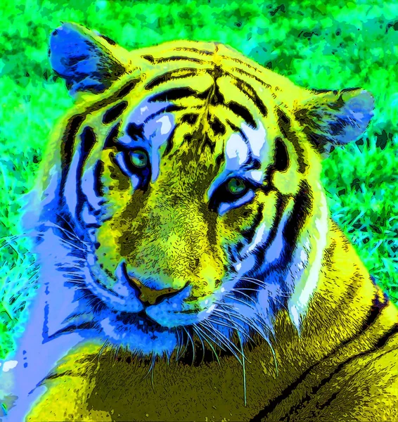 Állat Tigris Illusztráció Pop Art Háttér — Stock Fotó