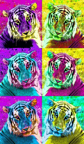 Zvířecí Tygr Ilustrace Pop Art Pozadí — Stock fotografie