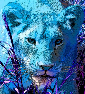 lioness pop-art background, illustration 