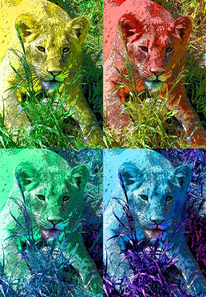 Lioness Pop Art Background Illustration — Stock Fotó