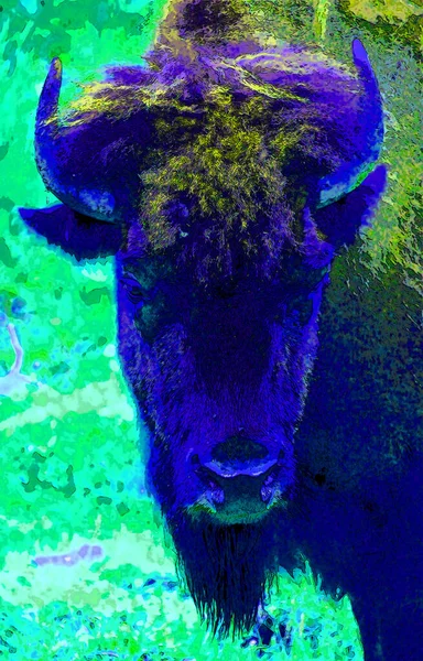 Bull Illustration Pop Art Background — Foto de Stock