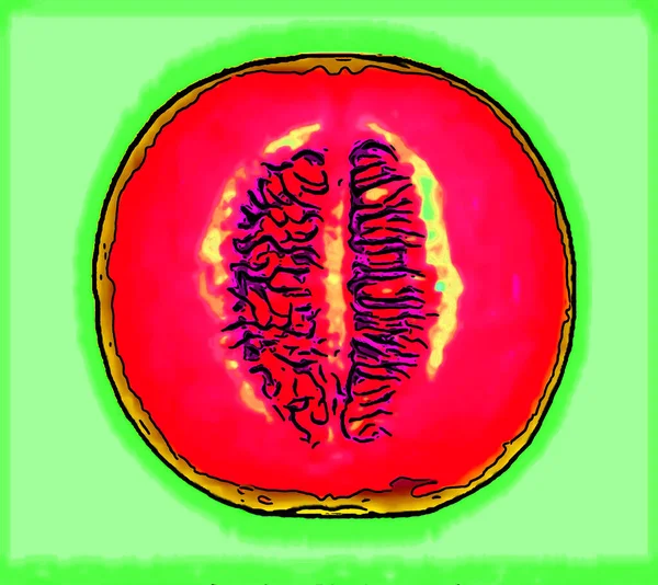 Kantaloupe Melon Tecken Illustration Bakgrund Ikon Med Levande Färger — Stockfoto