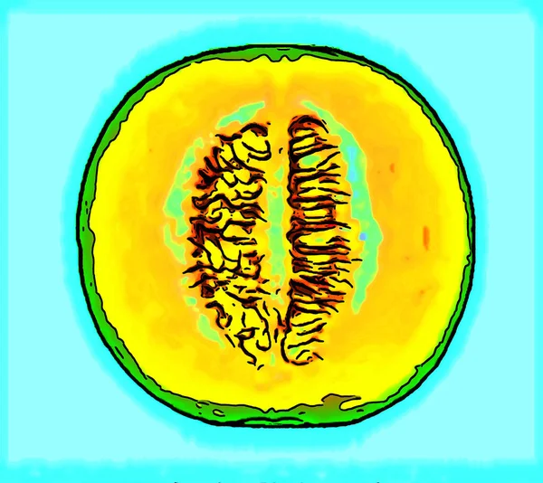 Cantaloupe Melone Zeichen Illustration Hintergrund Symbol Mit Lebendigen Farben — Stockfoto