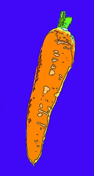 Иллюстрация Знака Моркови Иконка Поп Арта Цветовыми Пятнами — стоковое фото
