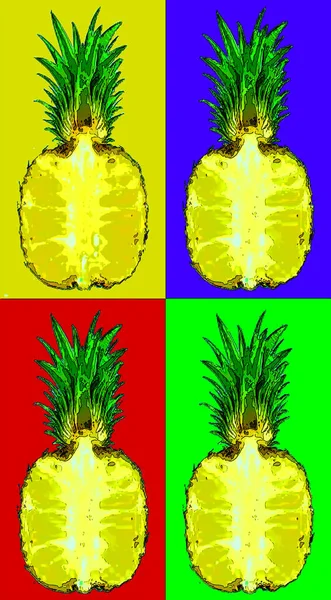 Ananas Znak Ilustracja Pop Art Tło Ikona Kolorowe Plamy — Zdjęcie stockowe