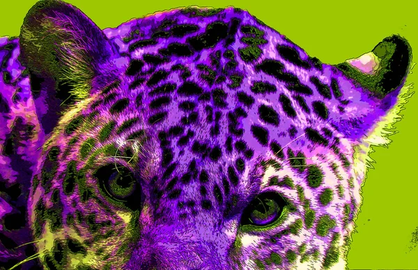 Cheetah Illustration Pop Art Background — Stockfoto