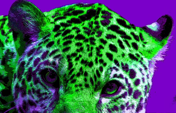 Cheetah Illustration Pop Art Background — Photo