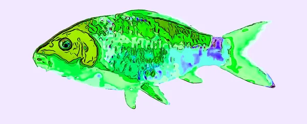 Green Fish Illustration Pop Art Background — 图库照片