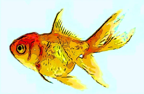 Gold Fish Illustration Pop Art Background — Stockfoto