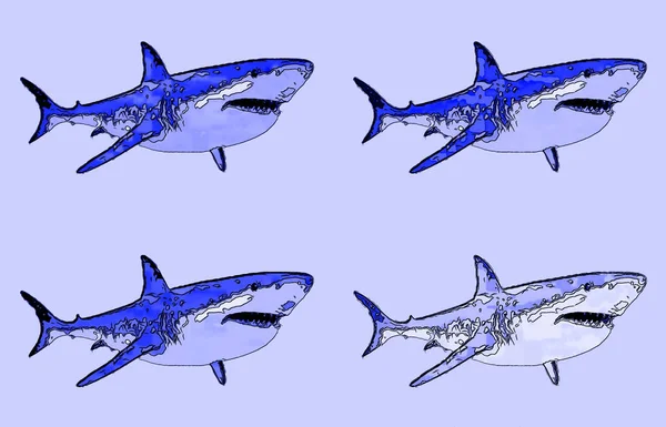 Μεγάλη Λευκό Σημάδι Καρχαρία Εικόνα Ποπ Art Φόντο Εικονίδιο Κηλίδες — Φωτογραφία Αρχείου