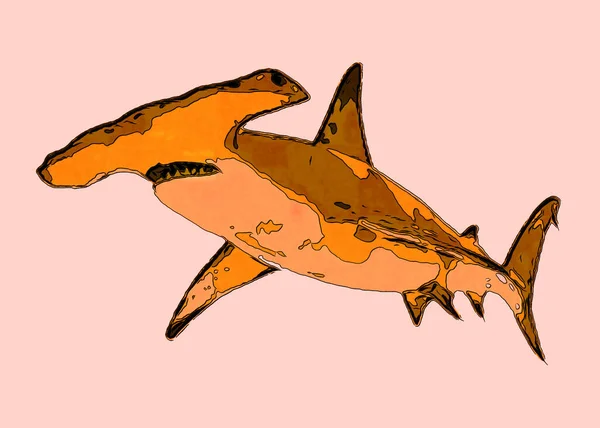 Hammer shark sign illustration pop-art background icon with color spots