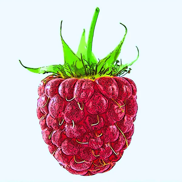 树莓标志图为带有色斑的流行艺术背景图标 — 图库照片