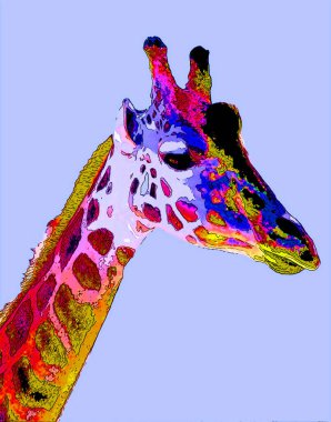 Zürafa çizimi pop-art geçmişi