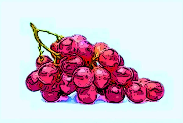 Druiven Teken Illustratie Pop Art Achtergrond Pictogram Met Kleurvlekken — Stockfoto