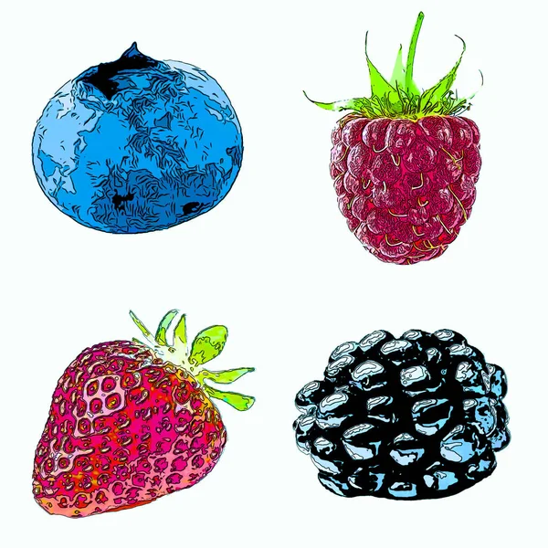 Set Hand Drawn Watercolor Berries — 图库照片