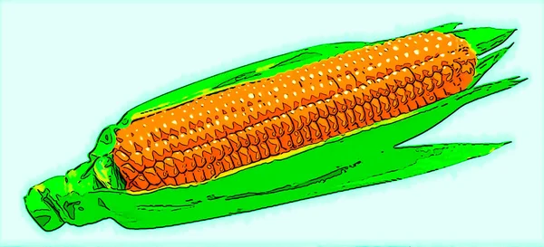 Sweet Corn Teken Illustratie Pop Art Achtergrond Pictogram Met Kleur — Stockfoto