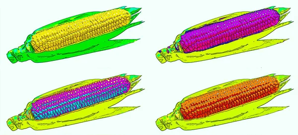 Sweet Corn Cobs Sign Illustration Pop Art Background Icon Color — Stok fotoğraf