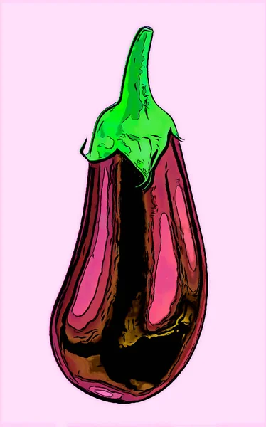 Eggplant Sign Illustration Pop Art Background Icon Color Spot — 스톡 사진