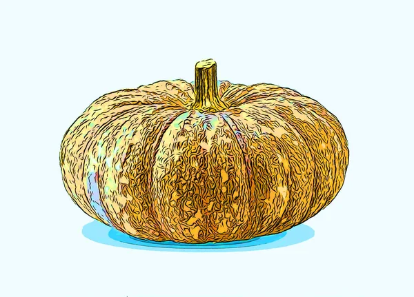 Pumpkin Illustration Pop Art Background — 스톡 사진