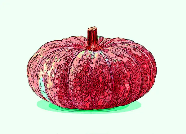 Pumpkin Illustration Pop Art Background — Photo