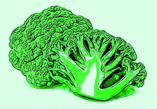 purple cauliflower healthy nutrition product green vegetable sign illustration pop-art background icon with color spots