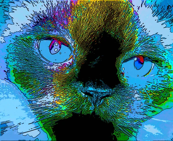 Cat Pop Art Background Illustration — Fotografia de Stock