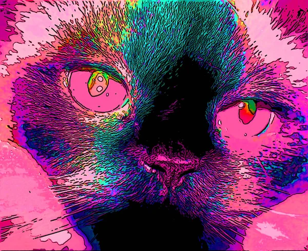 Cat Pop Art Background Illustration — Photo