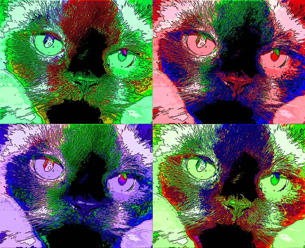Γάτα Pop Art Φόντο Εικονογράφηση — Φωτογραφία Αρχείου
