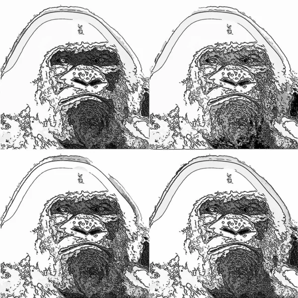 Gorillas Illustration Pop Art Background — Stockfoto